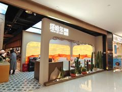 -塔哈尔·新疆盛宴(复地活力城店)
