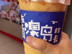 -南澳岛打卡果汁冰公司