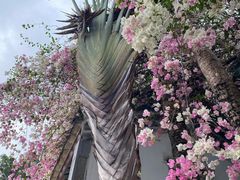 -深圳国际园林花卉博览园