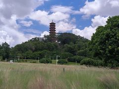 -红花山公园