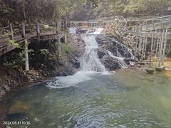 -九龙江国家森林公园