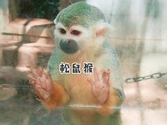 -昆明动物园