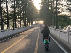 -东湖落雁景区