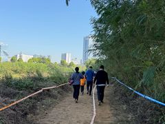 -光明小镇欢乐田园