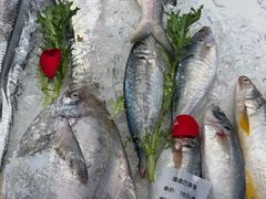 -浙C老邻舍(西城海错店)