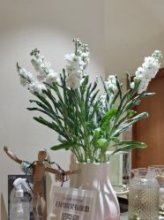 -阿南达·瑜伽普拉提·阿育吠陀疗愈中心