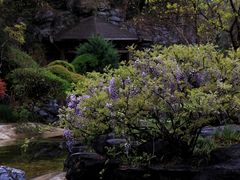 -上海吴淞炮台湾国家湿地公园