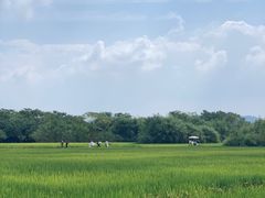-良渚古城遗址公园