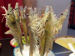 -乔先生涮肉·鲜活牛羊肉火锅(塘沽店)