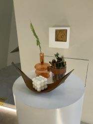 点击看大图 -VE专注问题肌·赛诺龙&科学美肤中心