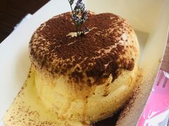 -狐狸和向日葵(北京路店)