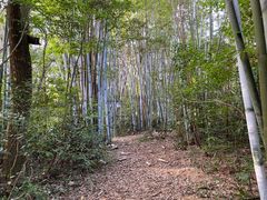 -林丰温泉度假山庄