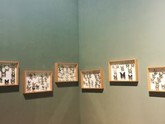 -青藏高原自然博物馆