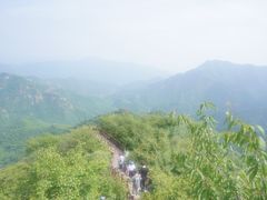 -大岭沟猕猴桃谷风景区