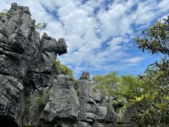 -千岛湖石林