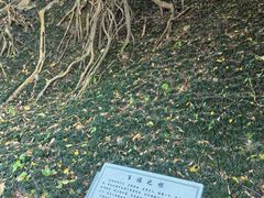 -广州市帽峰山景区