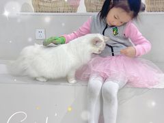 -怪兽屋·羊驼·猫咖·狗咖(俊华广场店)