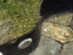 -嘉悦汗蒸时代(曙光路店)