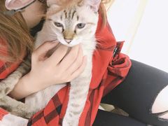 -猫和宫(六道口店)