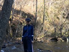 -凤凰山国家森林公园