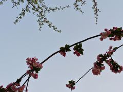 -海棠花溪(元大都城垣遗址公园)