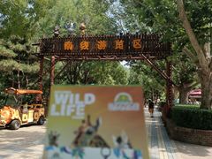 -北京野生动物园