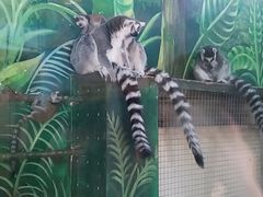 -西安秦岭野生动物园