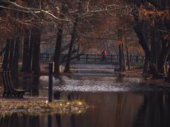 -上海共青森林公园