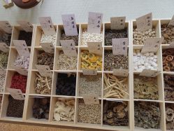 -太乙康·中式美养空间