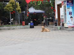 -仙海旅游度假区