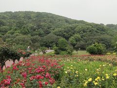 -龙寺生态园