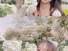 -大龙山(地铁站)