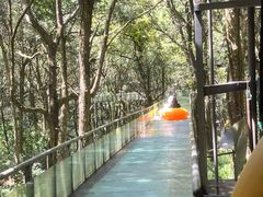 -富春桃源风景区