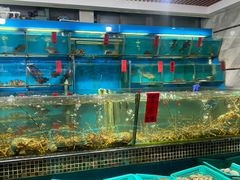 -海大大蒸汽海鲜餐厅·粤菜·特色小炒(欢乐颂店)