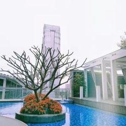 -英芬国际月子中心(岛屿度假月子·洲至奢选香岚店)
