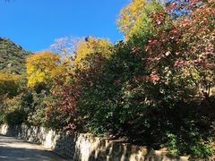 -北京鹫峰国家森林公园