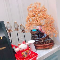 -拉瑞娜LaReine婚纱礼服高级定制