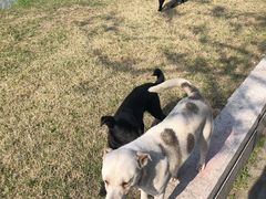 -维也纳国际酒店·江苏苏州火车站北广场店