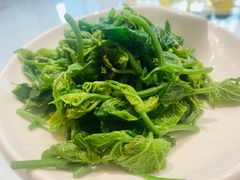 -锦庐道地川菜(来福士店)