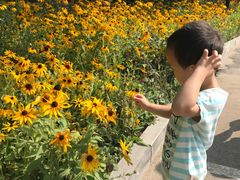 -国御温泉度假小镇