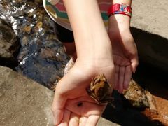 -碓臼峪自然风景区