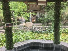 -观唐（国际）度假村温泉