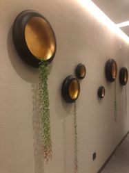 -香榭丽舍·海菲秀·皮肤管理痘敏肌修护