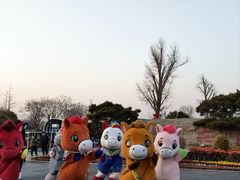 -荷兰花海