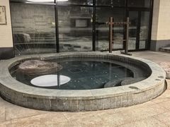 -天目湖涵田半山温泉
