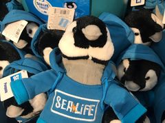 -悉尼海洋生物水族馆