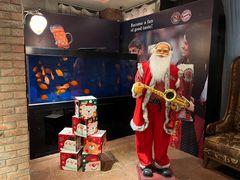 -宝莱纳啤酒花园餐厅PAULANER BRAUHAUS Nanjing(广州路店)