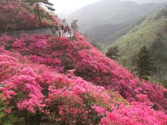 -木兰云雾山