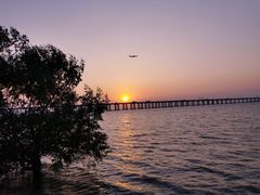 -宝安西湾红树林湿地公园