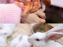 -正佳雨林生态植物园